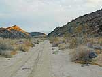 Mojave Trails