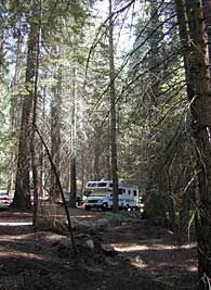 mineral king camp sites