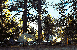 thomas camp