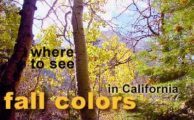 Autumn Colors California