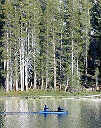 canoe or kayak