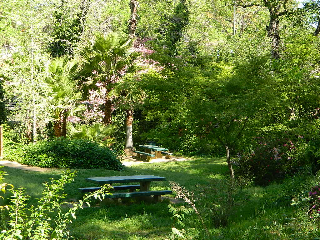 Auburn picnic park