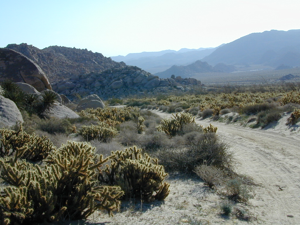 California Desert Region