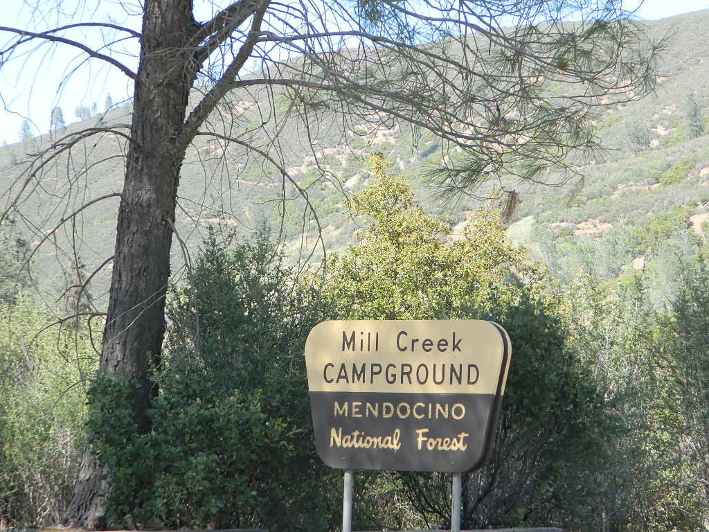 Mill Creek Camp @ Mendo
