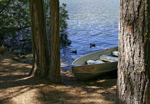 Hume Lake Camping