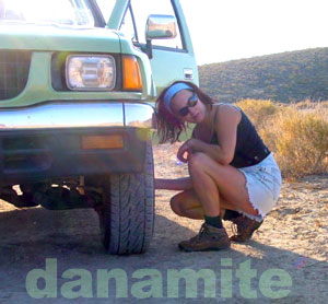 DanaMite Camp Diva